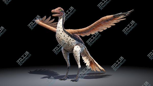 images/goods_img/20210312/Archaeopteryx 3D model/3.jpg